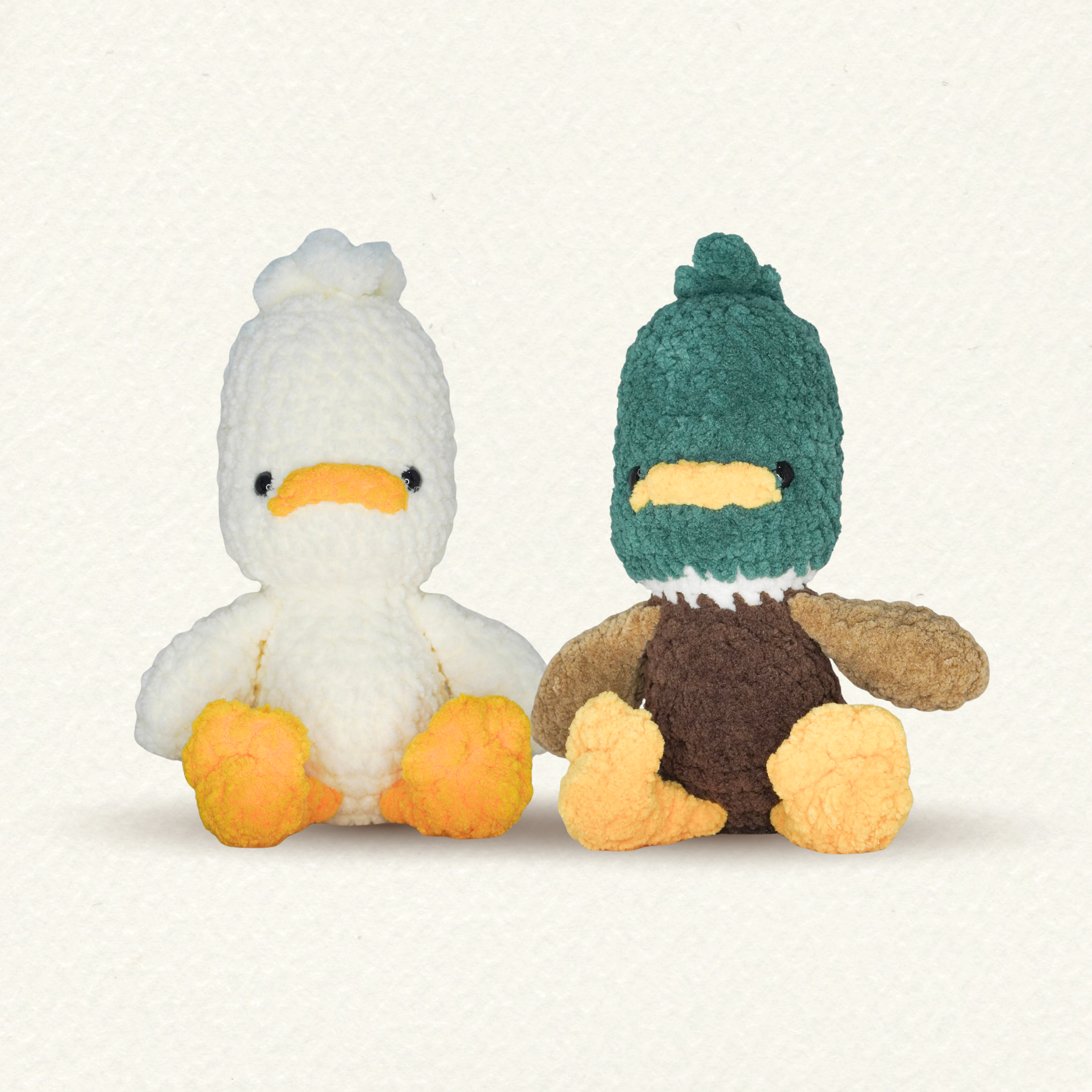bird friends