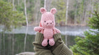 Hesu Pig